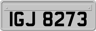 IGJ8273