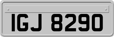 IGJ8290