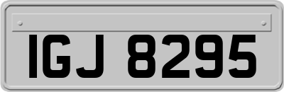 IGJ8295