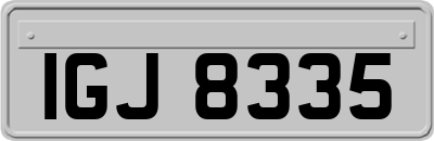 IGJ8335