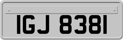 IGJ8381