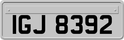 IGJ8392