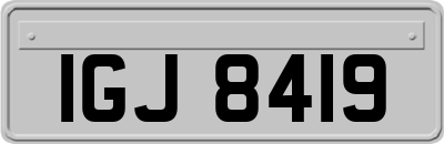 IGJ8419