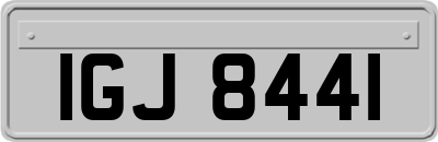 IGJ8441