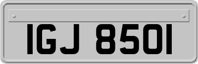 IGJ8501