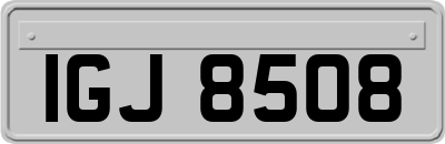 IGJ8508
