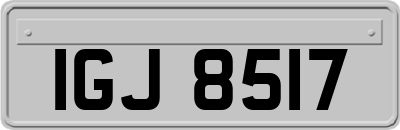IGJ8517