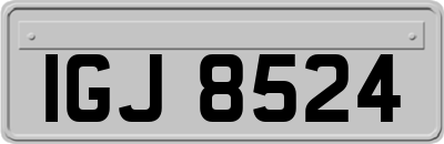 IGJ8524