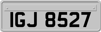 IGJ8527