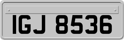 IGJ8536