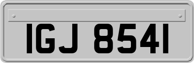 IGJ8541