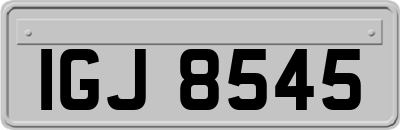 IGJ8545