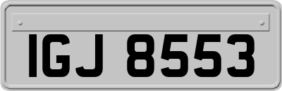 IGJ8553