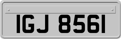 IGJ8561