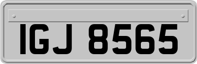 IGJ8565