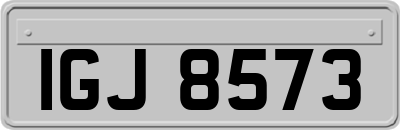 IGJ8573