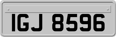 IGJ8596