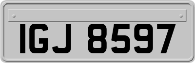 IGJ8597