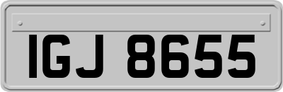 IGJ8655