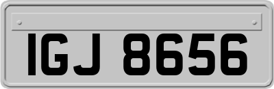 IGJ8656
