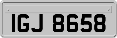 IGJ8658