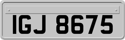 IGJ8675