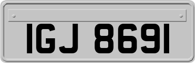 IGJ8691