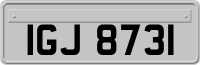 IGJ8731
