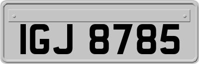 IGJ8785