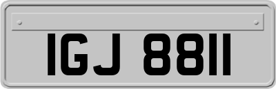 IGJ8811