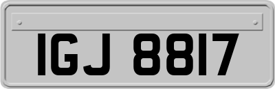 IGJ8817