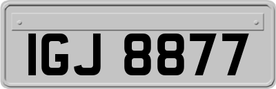 IGJ8877