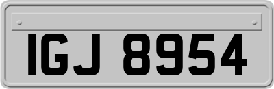 IGJ8954