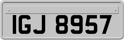 IGJ8957