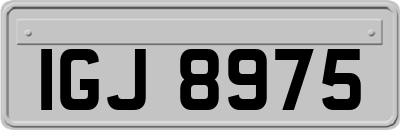 IGJ8975