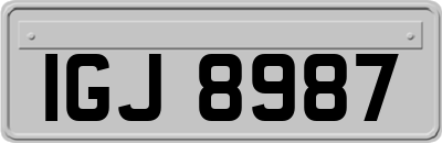 IGJ8987