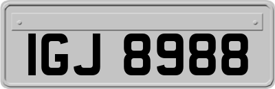 IGJ8988