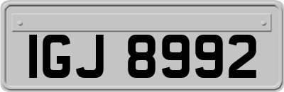 IGJ8992