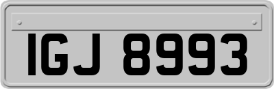 IGJ8993