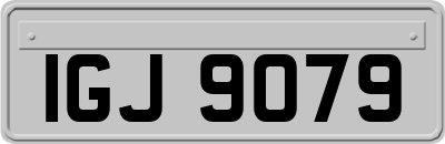IGJ9079