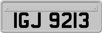 IGJ9213