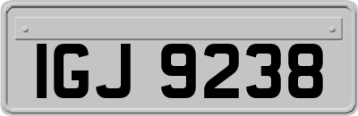 IGJ9238