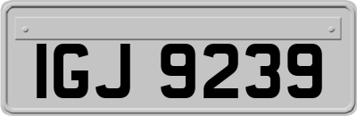 IGJ9239