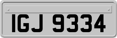 IGJ9334