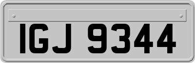 IGJ9344