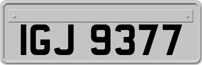 IGJ9377