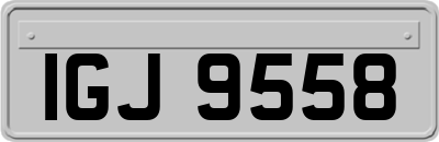 IGJ9558