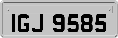 IGJ9585