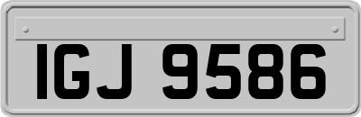 IGJ9586
