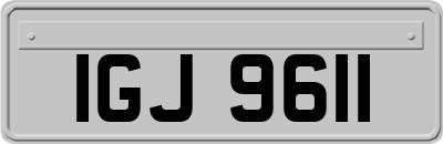 IGJ9611